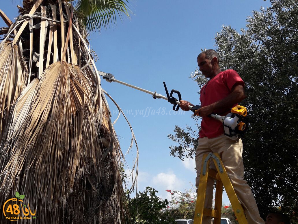 maqbara yaffai39 tandef (17).jpg